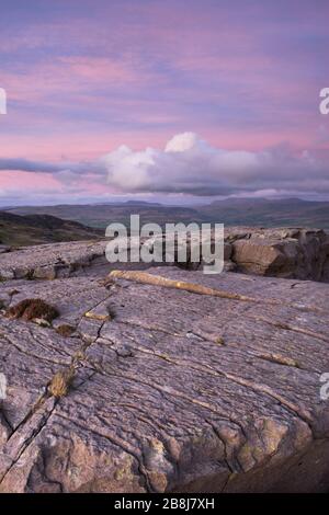 Les montagnes Rhinogydd, à l'est de Harlech, Snowdonia, pays de Galles du Nord, Royaume-Uni. Banque D'Images