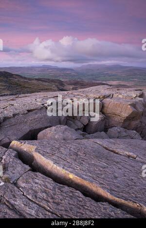 Les montagnes Rhinogydd, à l'est de Harlech, Snowdonia, pays de Galles du Nord, Royaume-Uni. Banque D'Images