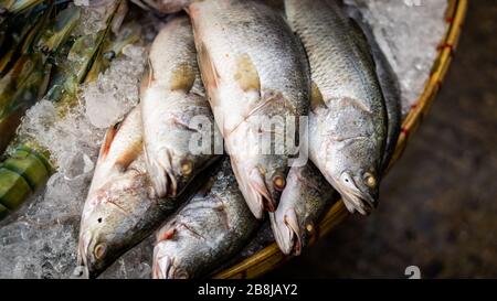 Poisson sur glace attendant d'être vendu dans un marché asiatique de rue Banque D'Images