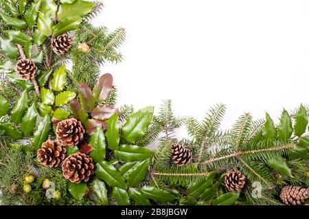 Cadre de Noël de branches de pins et de GUI isolé sur fond blanc Banque D'Images