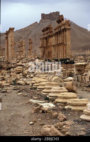 Grande Colonnade. Palmyra. Syrie Banque D'Images