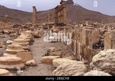 Grande Colonnade. Palmyra. Syrie Banque D'Images