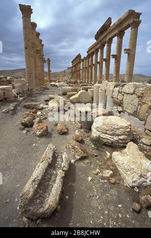 Grande Colonnade. Palmyra. Syrie Banque D'Images