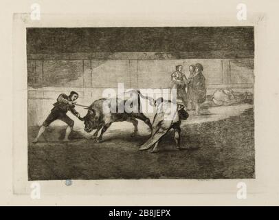 TAUROMACHIE - PEDRO ROMERO TUANT UN TAUREAU À L'ARRÊT FRANCISCO GOYA ( 1746-1828 ). 'Tauromachie, variante érive d'état (planète 30) : Pedro Romero tuant un taureau à l'arrêt'. Eau-forte. Musée des Beaux-Arts de la Ville de Paris, petit Palais. Banque D'Images