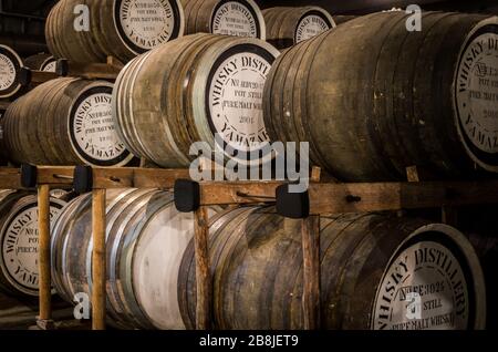 Caques de whisky dans la distillerie Yamazaki de Mishima, Osaka, Japon. Banque D'Images