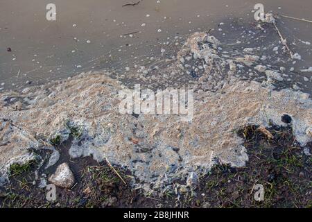 Faire revenir l'eau sale, la mousse et les éraflures sur la rive de la rivière pendant une inondation Banque D'Images