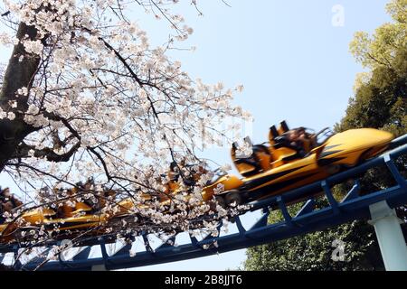 Tokyo, Japon. 22 mars 2020. Les gens aiment voir la floraison des cerisiers en fleurs dans le parc d'attractions Toshimaen à Tokyo le dimanche 22 mars 2020. Le parc d'attractions Toshimaen a repris ses activités le 21 mars après 20 jours de fermeture par crainte de l'éclosion du nouveau coronavirus. Crédit: Yoshio Tsunoda/AFLO/Alay Live News Banque D'Images