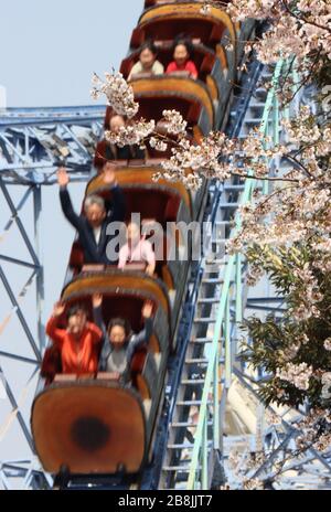 Tokyo, Japon. 22 mars 2020. Les gens aiment voir la floraison des cerisiers en fleurs dans le parc d'attractions Toshimaen à Tokyo le dimanche 22 mars 2020. Le parc d'attractions Toshimaen a repris ses activités le 21 mars après 20 jours de fermeture par crainte de l'éclosion du nouveau coronavirus. Crédit: Yoshio Tsunoda/AFLO/Alay Live News Banque D'Images