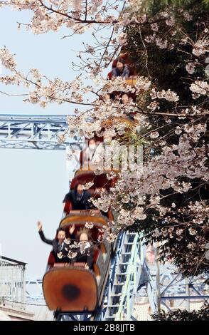 Tokyo, Japon. 22 mars 2020. Les gens aiment voir la floraison des cerisiers en fleurs dans le parc d'attractions Toshimaen à Tokyo le dimanche 22 mars 2020. Le parc d'attractions Toshimaen a repris ses activités le 21 mars après 20 jours de fermeture par crainte de l'éclosion du nouveau coronavirus. Crédit: Yoshio Tsunoda/AFLO/Alay Live News Banque D'Images