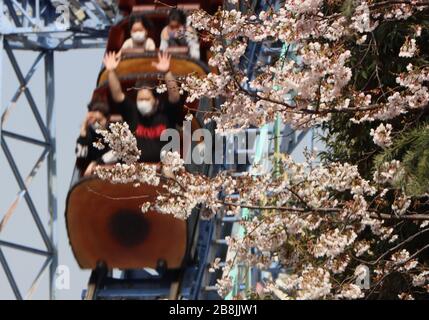 Tokyo, Japon. 22 mars 2020. Les gens aiment voir la floraison des cerisiers en fleurs dans le parc d'attractions Toshimaen à Tokyo le dimanche 22 mars 2020. Le parc d'attractions Toshimaen a repris ses activités le 21 mars après 20 jours de fermeture par crainte de l'éclosion du nouveau coronavirus. Crédit: Yoshio Tsunoda/AFLO/Alay Live News Banque D'Images