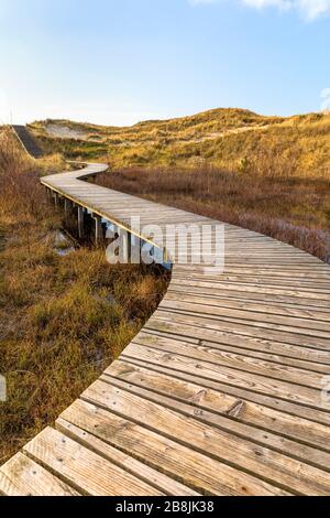 Sentier en bois menant à travers les marais et les dunes à la plage de l'île allemande de la mer du Nord Amrum Banque D'Images