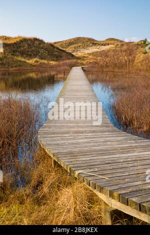 Sentier en bois traversant les dunes de l'île allemande de la mer du Nord Amrum traversant un étang près du village de Wittdün Banque D'Images