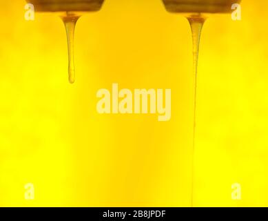 Éclaboussures de miel sucré biologique. Le miel s'écoule de la cuillère à miel en bois Banque D'Images