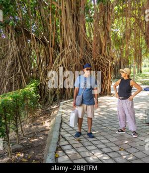 Deux touristes se tenant à côté des racines aériennes d'un banyan Tree dans le parc KLCC Kuala Lumpur en Malaisie. Banque D'Images