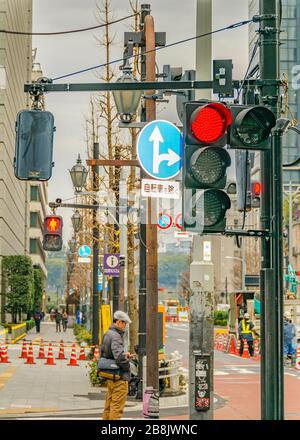 TOKYO, JAPON, JANVIER - 2019 - scène hivernale urbaine dans le quartier de chiyoda, tokyo, japon Banque D'Images