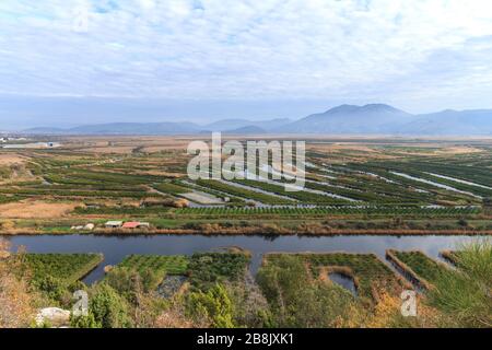 Vergers et champs dans le delta de la rivière Neretva, près de la ville d'Opuzen. Dalmatie, Croatie Banque D'Images