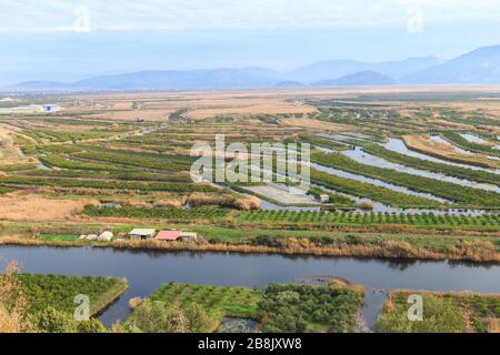 Vergers et champs dans le delta de la rivière Neretva, près de la ville d'Opuzen. Dalmatie, Croatie Banque D'Images