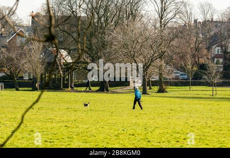 Harrogate, Yorkshire du Nord, Royaume-Uni. 22 mars 2020. Le parc Stray, au centre de Harrogate, serait normalement bourré de gens lors d'une journée de printemps ensoleillée, mais aujourd'hui il n'y a que quelques marcheurs de chiens autour en raison de l'épidémie de Coronavirus. Crédit: ernesto rogata/Alay Live News Banque D'Images