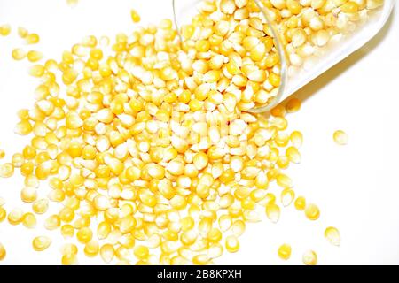 Maïs sur fond blanc. Photo créative Banque D'Images