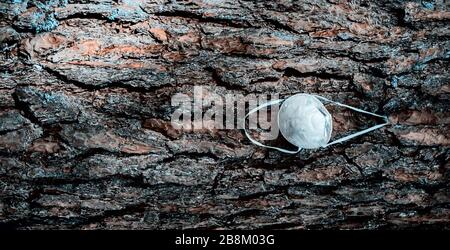 Un masque blanc se bloque sur une branche d'arbre dans une forêt - closeup. En raison d'un masque insuffisant pendant la crise de Covid-19. Quarantaine du virus Corona. Banque D'Images