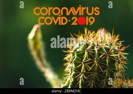 Roman coronavirus COVID-19 - texte et symbole. Éclosion de coronavirus chinois, coronavirus du syndrome respiratoire du Moyen-Orient. Banque D'Images