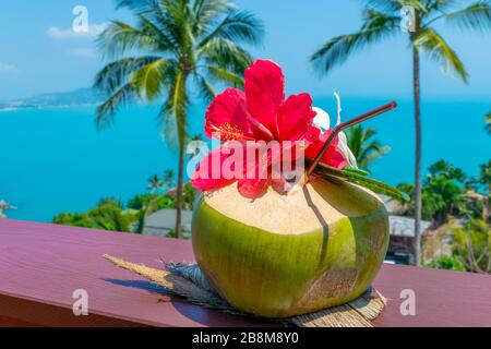 Cocktail de cococotiers vert frais avec fleurs rouges et blanches devant le ciel bleu et clair et la mer avec palmiers verts flous dans le dos Banque D'Images