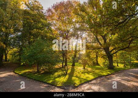 Feuillage d'automne dans le parc Forstbaumschule, Kiel, capitale du Schleswig-Holstein, Allemagne du Nord, Europe centrale Banque D'Images