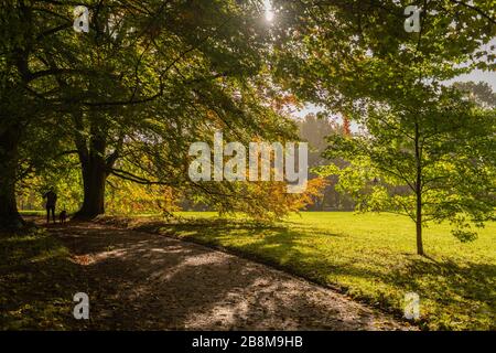 Feuillage d'automne dans le parc Forstbaumschule, Kiel, capitale du Schleswig-Holstein, Allemagne du Nord, Europe centrale Banque D'Images