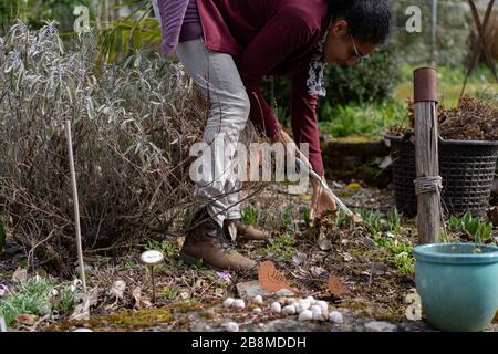 Une jeune femme qui s'attonne et raque les feuilles dans le flowerbed avec des mounds en pierre faits à la main au printemps. Rafraîchissez le jardin. Vue latérale. Banque D'Images