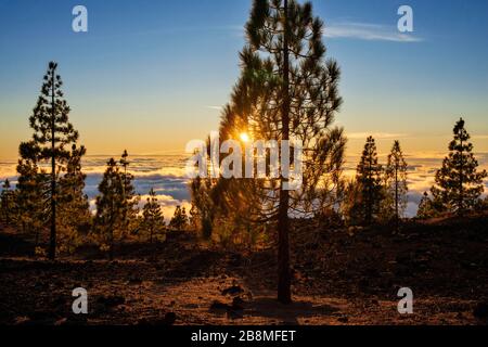 Paysage de montagne à Las Canadas, Parque Nacional del Teide, Tenerife, Îles Canaries, Espagne Banque D'Images