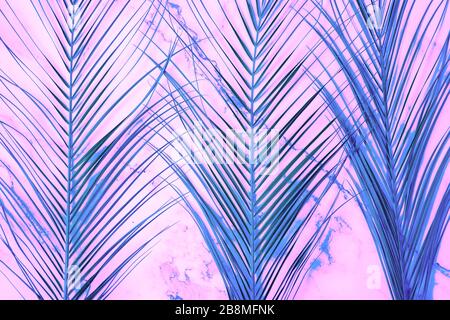 Feuilles tropicales peintes sur fond de marbre rose. Concept d'été. Vue sur le dessus, plat. Disposition créative des feuilles à deux tons. Banque D'Images