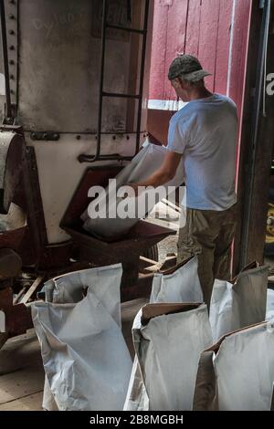 Ouvrier agricole remplissant les sacs d'alimentation Banque D'Images