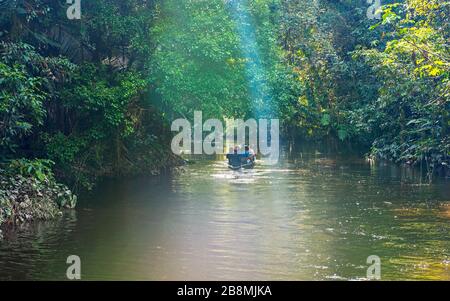 Des gens en canoë le long d'un canal dans la forêt tropicale d'Amazone avec sunbeam, parc national de Yasuni, Équateur. Banque D'Images