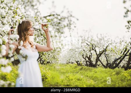 Belle femme rêveuse en robe blanche dans le jardin fleuri de pomme. Banque D'Images