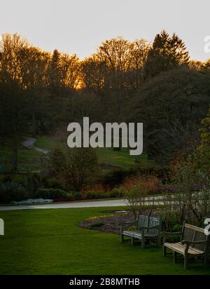 Harrogate, Yorkshire du Nord, Royaume-Uni, 22 mars 2020. Le soleil se couche au-dessus des jardins RHS Harlow Carr qui devaient être fermés hier car le grand nombre de visiteurs signifiait qu'il était impossible de garantir la distanciation sociale. Crédit: Ernesto Rogata/Alay Live News. Banque D'Images