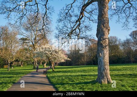 Springfield Park, Upper Clapton, Londres Nord, Royaume-Uni, au printemps Banque D'Images