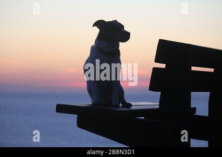 Aberystwyth, Pays de Galles, Royaume-Uni. 22 mars 2020. UK Météo coucher de soleil à Aberystwyth une silhouette d'un chien Jack Russell crédit: mike davies/Alay Live News Banque D'Images