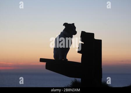 Aberystwyth, Pays de Galles, Royaume-Uni. 22 mars 2020. UK Météo coucher de soleil à Aberystwyth une silhouette d'un chien Jack Russell crédit: mike davies/Alay Live News Banque D'Images