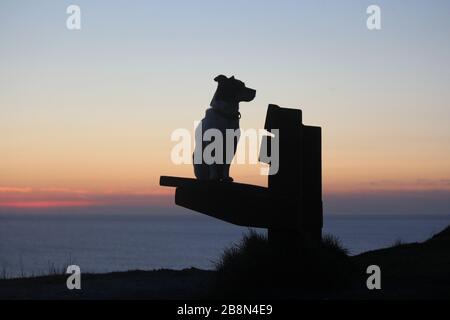 Aberystwyth, Pays de Galles, Royaume-Uni. 22 mars 2020. UK Météo coucher de soleil à Aberystwyth une silhouette d'un chien Jack Russell crédit: mike davies/Alay Live News Banque D'Images