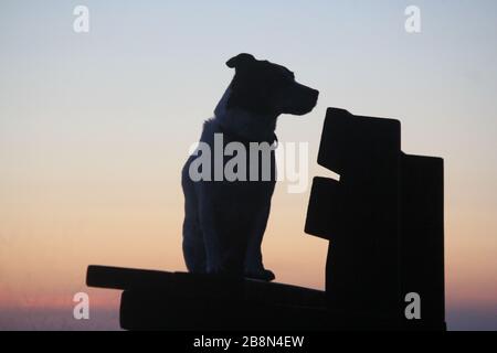 Aberystwyth, Pays de Galles, Royaume-Uni. 22 mars 2020. UK Météo coucher de soleil à Aberystwyth une silhouette d'un chien Jack Russell crédit: mike davies/Alay Live News Banque D'Images