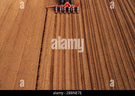 Drone photographie de tracteur avec seeder travaillant dans le secteur des machines agricoles, la plantation est de la semence en terre fraîchement labourés Banque D'Images