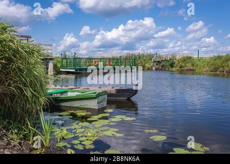 Plate-forme flottante sur la rivière Narew dans le village de Waniewo, comté de Wysokie Mazowieckie à Podlaskie Voivodeship, dans le nord-est de la Pologne Banque D'Images