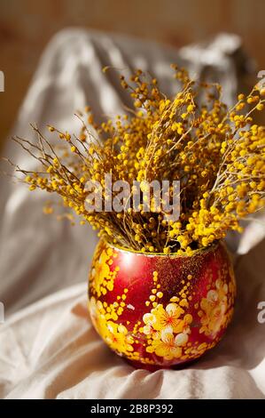 Image verticale des fleurs jaunes de Mimosa Acacia dealbata dans un vase oriental rouge avec fleurs. Phase de fleur sale dans le pollen jaune de fleur au soleil naturel Banque D'Images