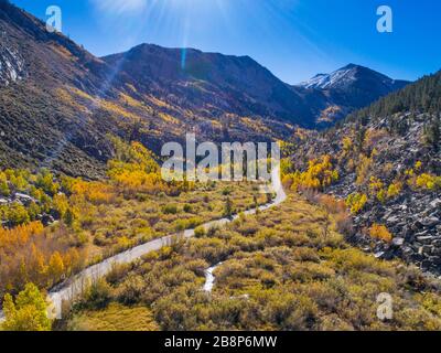 Une route sinueuse passe par les bosquets de trembles d'automne sur le chemin du lac Sud, Sierra Nevada montagnes, Californie Banque D'Images