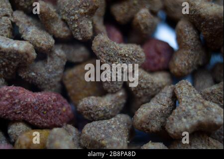 arrière-plan des aliments pour chiens. Macro alimentaire pour animaux de compagnie. Macro de gros plan sur les aliments pour chats ou pour chiens Banque D'Images