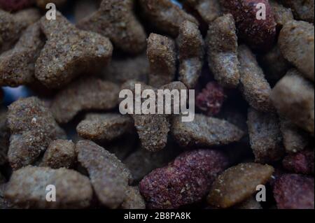 arrière-plan des aliments pour chiens. Macro alimentaire pour animaux de compagnie. Macro de gros plan sur les aliments pour chats ou pour chiens Banque D'Images