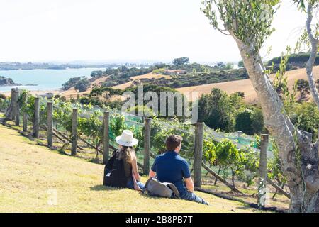 Jeune couple aux vignobles et au restaurant de Cable Bay, Nick Johnstone Drive, Oneroa, Waiheke Island, Hauraki Gulf, Auckland, Nouvelle-Zélande Banque D'Images