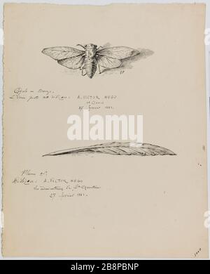 Miniatures du chapitre 'la fête du 27 février 1881', 'cicada', p. 308 et 'stylo doré'. Illustration du "Livre d'or de Victor Hugo Gustave Farifont (1849-1923). 'Vignette pour le chapître 'la Fête du 27 février 1881', 'la cigale', p.T' et 'plume en or'. Illustration pour le Livre d'Or de Victor Hugo. Encre sur papier. 1882. Paris, Maison de Victor Hugo. Banque D'Images