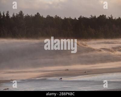 Dunes blanches sur la plage de la mer Baltique par temps très venteux. Leba, Pologne. Banque D'Images