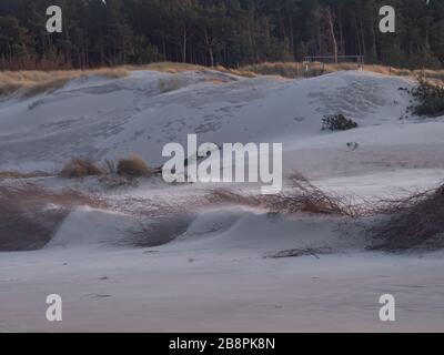 Dunes blanches sur la plage de la mer Baltique par temps très venteux. Leba, Pologne. Banque D'Images